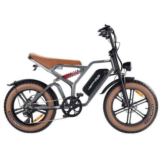 Happyrun Tank G60 Electric Motor CARGO Bike