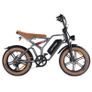 Happyrun Tank G60 Electric Motor CARGO Bike Image 3