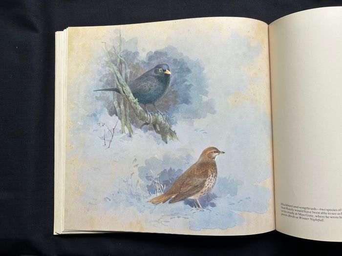 Collectible books