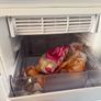 Hotpoint Frost Image 5