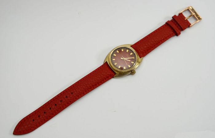 Vintage Swiss Made  Ferel Gents Watch