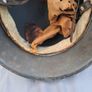 M42 German WW2 original Helmet Image 8