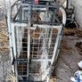 Sheep Weighing Scales Image 6
