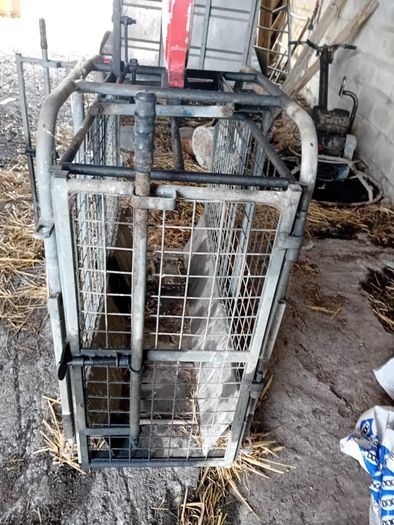 Sheep Weighing Scales