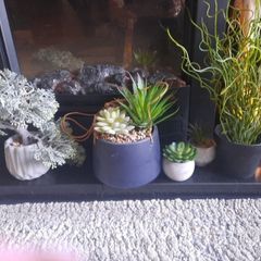 faux potted plants