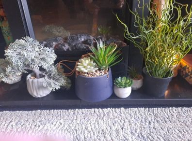 faux potted plants