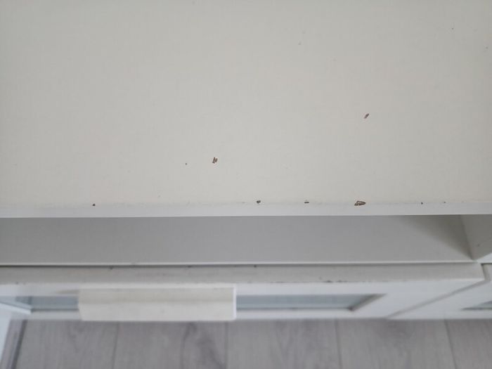 tv table