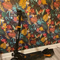 Kukirin G2 Pro