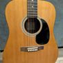 Johnson AG-6200N Guitar Image 2