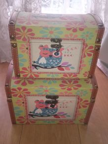 Storage boxes