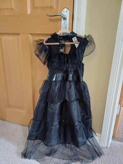 girl's dress up fancy dress costumes and accessories