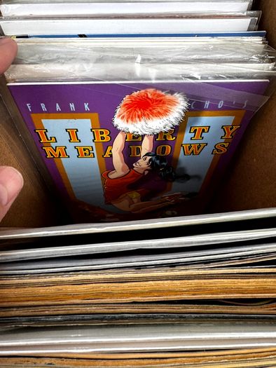 Indie Long Comic Box w 250 Comics for Sale