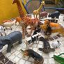 toy animals - plastic approx 30 Image 3