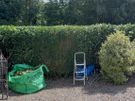 Gardening Image 7