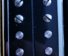 Mojotone PW Hornet neck