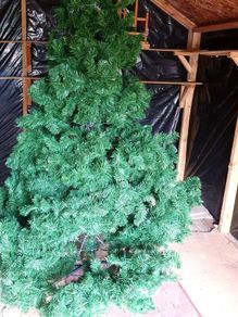 xmas tree 6ft
