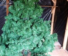 xmas tree 6ft