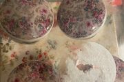 Cupboard Door Knobs