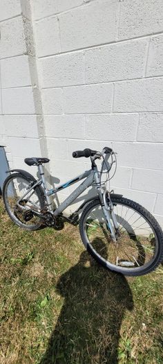20 inch  bike