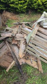 woods for free