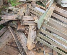 woods for free