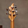 Traben Phoenix 5-String Bass + Original Traben Hard Case Image 6
