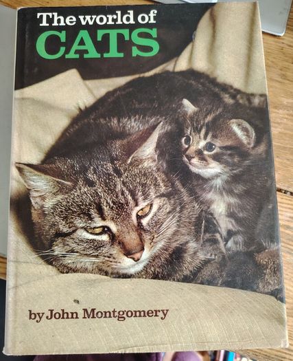 The World of Cats