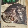 The World of Cats Image 4