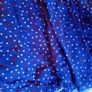 pumpkin patch red and blue dress Image 5