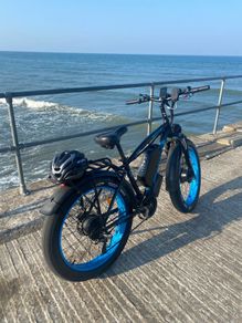 electric bike