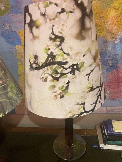 Will sell separately- Solid Dark Wood Pillar Lamp ( with chrome base ) with a lovely green floral / foliage brand new shade - And K Amsterdam