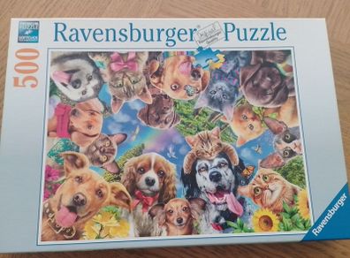 500 piece puzzle