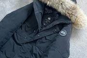 canada goose