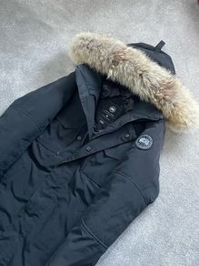 canada goose