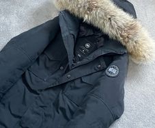 canada goose