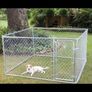 Dog Run Image 3