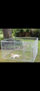 Dog Run