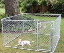Dog Run