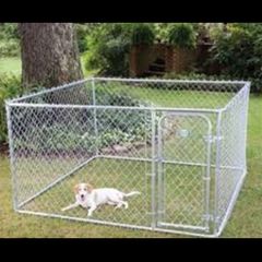 Dog Run