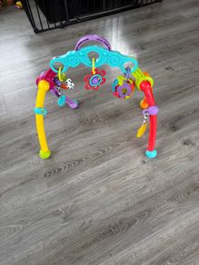 Playgro gym
