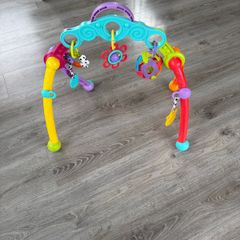 Playgro gym