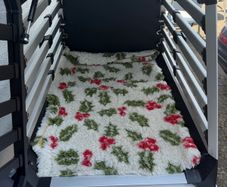 Thule allax dog transport crate