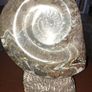 Ammonite statue Image 9