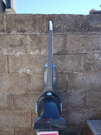 carpet shampoo/cleaner