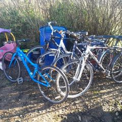 bikes