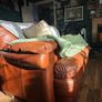 Tan Leather sofa suits Image 10