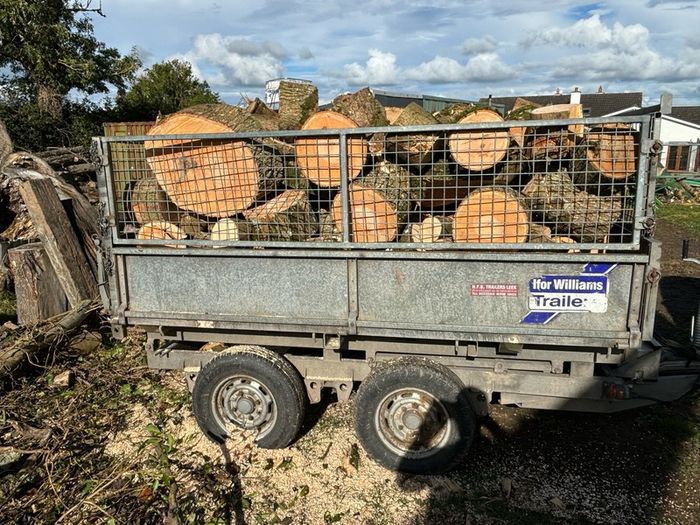Firewood logs