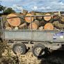 Firewood logs Image 6