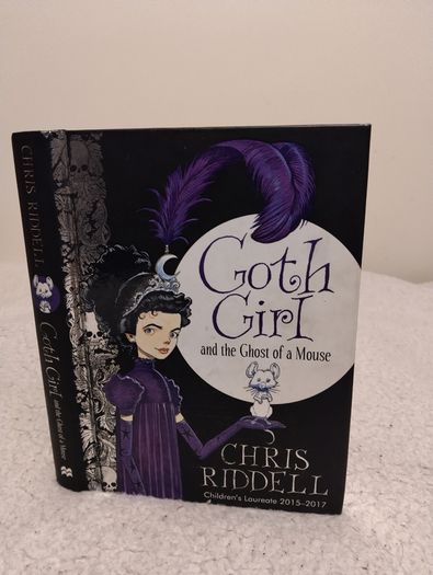 Chris Riddell Ottoline And Goth Girl Books,  Hardback