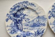 Wedgwood Plates